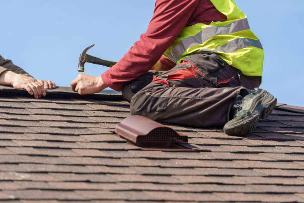 Best Roof Gutter Cleaning  in El Dorado, AR