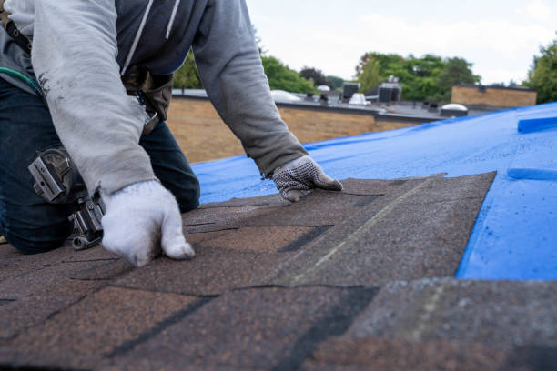 Best New Roof Installation  in El Dorado, AR